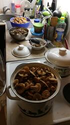 IMG-20210918-WA0000.jpg