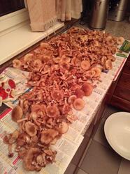 IMG-20210919-WA0018.jpg