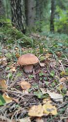 IMG_20210916_162110.jpg