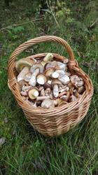IMG_20210916_173451.jpg