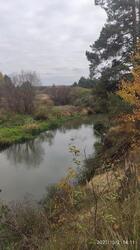 IMG_20211002_141139.jpg