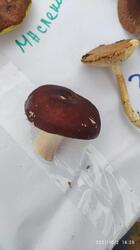 IMG_20211002_142828.jpg