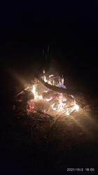 IMG_20211002_190014.jpg