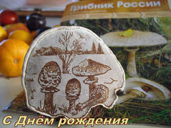 Ganoderma_applanatum_AWP_20131123.thumb.JPG.e57c4990428f467147777781cf72c9a4.JPG