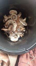 IMG-20220908-WA0008.jpeg