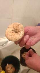 IMG-20220910-WA0007.jpeg