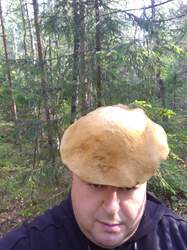 IMG_20190904_160724.thumb.jpg.01b6a80de5b9d342bf8762d251683f86.jpg