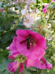 IMG_20220702_160641.jpg
