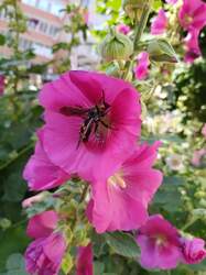 IMG_20220702_160643.jpg