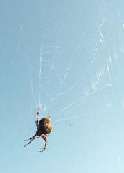 IMG_20220930_155637.jpg