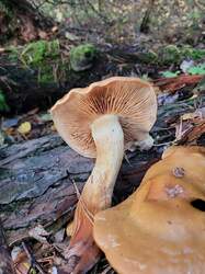 20221007_164650.thumb.jpg.4e91206e90e9675a438a2b4052cfdbdb.jpg