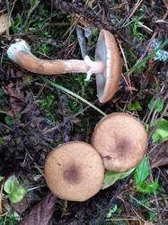 20221030_105559.jpg
