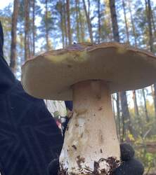 8DC5E082-EF0A-4047-A202-5062DA8D75A5.jpeg