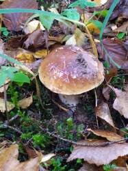 IMG-20221030-WA0006.jpg