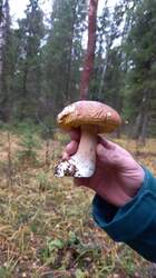 IMG-20221030-WA0008.jpeg