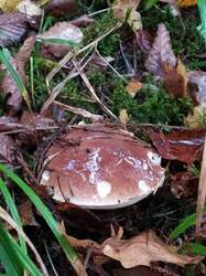 IMG-20221030-WA0008.jpg