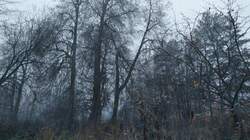 IMG-20221030-WA0011.jpeg