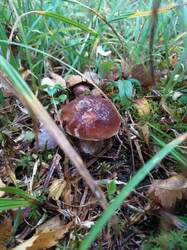 IMG-20221030-WA0017.jpg