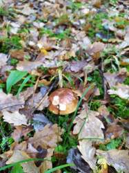 IMG-20221030-WA0019.jpg