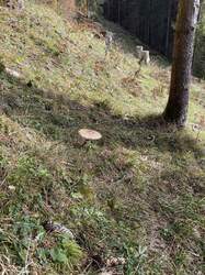 IMG_5156.JPG