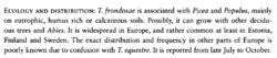 448343970_2023-01-2820_16_52-ChristensenHeilman-Clausen2013ThegenusTricholoma.pdf-AdobeAcrobatRead.thumb.png.5974feff46ebf5e6cb855a443fdb5ef7.png