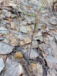 20230423_092046.thumb.jpg.d4bed5c2cbe8ea88089edfc6caad40f5.jpg