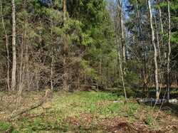 DSC04314.thumb.JPG.394a52c5a620b8bd5c660252bc2707de.JPG