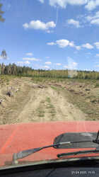 IMG_20230423_111351.jpg