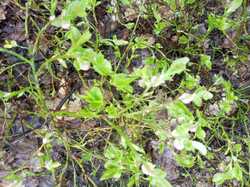 IMG-20230504-WA0022.thumb.jpg.d269b7083ea21507449c8ae7c73d62e9.jpg