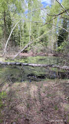 IMG_20230504_105337.jpg