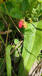 IMG_20230614_110204.jpg