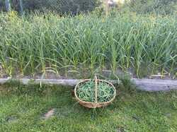 IMG_9707.jpeg
