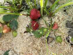 IMG_9709.jpeg