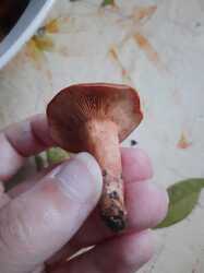 20230722_201050.jpg