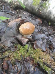 20230730_064359.thumb.jpg.aa30db9e5d01426e9e5b1be768a6d52b.jpg
