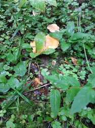 20230730_083735.jpg