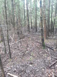 20230730_083859.thumb.jpg.8ba25f820956f48bd2050fa6ca90a80f.jpg