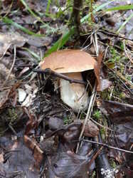 20230730_091006.thumb.jpg.b504bac6c23040c9fd8223b517fcad97.jpg