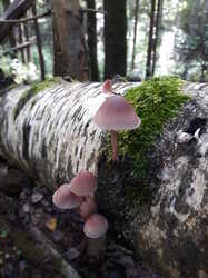 20230730_094655.thumb.jpg.8863b46ec0187da64ef81516971fc2a2.jpg