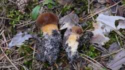 IMG-20230714-WA0092.jpg