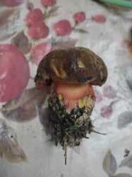 IMG-20230723-WA0000.jpg