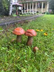 IMG-20230729-WA0007.jpg