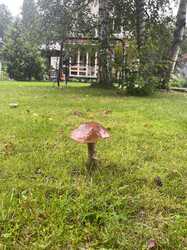 IMG-20230729-WA0008.jpg