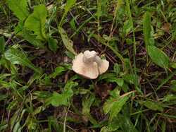 IMG_20230719_120638.jpg