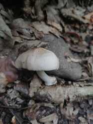 IMG_20230721_091006.jpg
