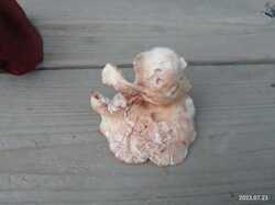 IMG_20230723_083010.thumb.jpg.b325a31ec9fa8f2d07cb0c9c0568cee0.jpg