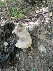 IMG_20230724_105647.jpg