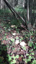 20230819_143315.jpg