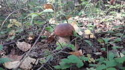 20230901_104243.thumb.jpg.ceb3b6d72efb5903b4c4d0d9a3ea14bb.jpg