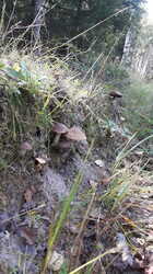 20230901_122011.thumb.jpg.cc3f9c69978410184362d9594773c53c.jpg